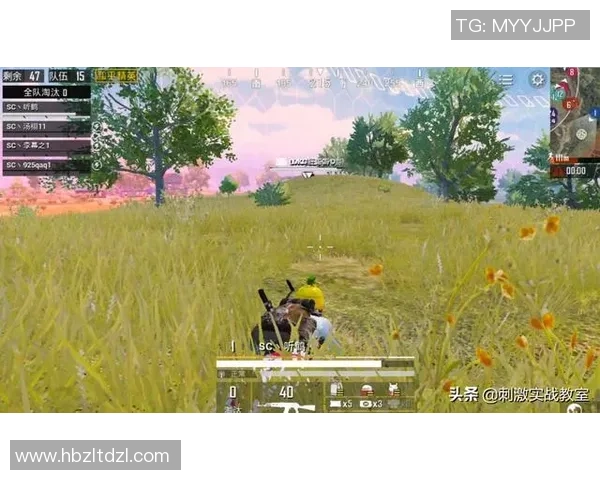 和平精英评论:WE战队在比赛节奏中的得失与反思分析 和平精英评论:WE战队在比赛节奏中的得失与反思分析