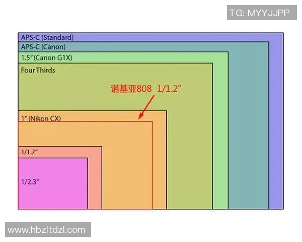 独家深度解析杭州网球队技术特点与其他球队的全面对比分析 独家深度解析杭州网球队技术特点与其他球队的全面对比分析