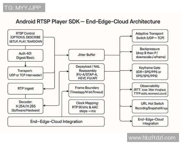 深圳飞盘队节奏表现分析与战术优化探讨