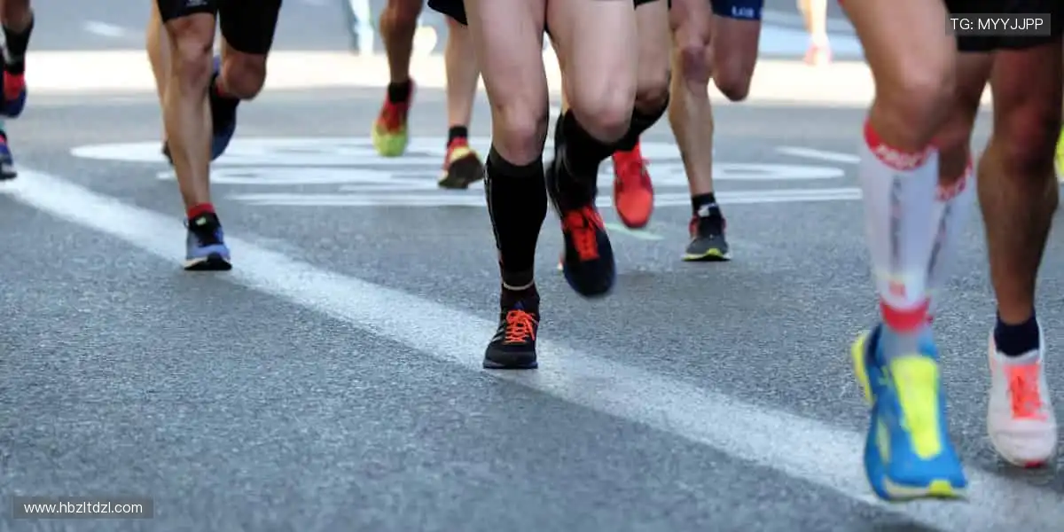 数据与激情同频,专业共欢乐一色!📊🎉 用科技解锁体育新视角!